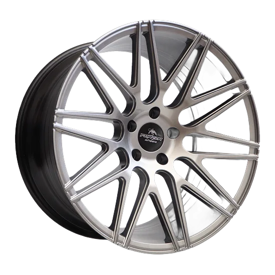 Forzza Galaxy Silver